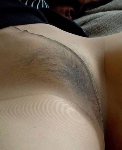 Сучки надели колготки и, расставив ноги, показали волосатые пилотки 3 фото